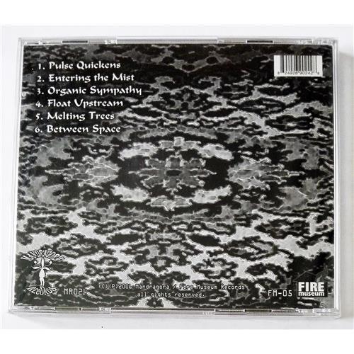 Картинка  CD Audio  Erik Amlee – Afternoon Dream в  Vinyl Play магазин LP и CD   08822 1 