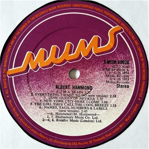  Vinyl records  Albert Hammond – Albert Hammond / MUM 80026 picture in  Vinyl Play магазин LP и CD  08563  2 