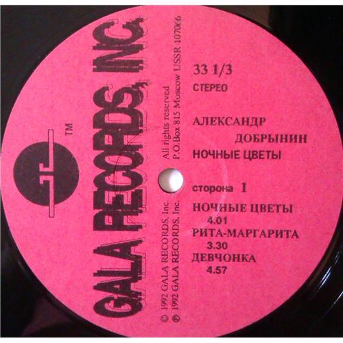  Vinyl records  Александр Добрынин – Ночные Цветы / R90-01041-2 picture in  Vinyl Play магазин LP и CD  03953  2 