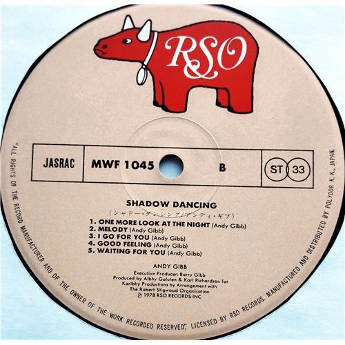 Картинка  Виниловые пластинки  Andy Gibb – Shadow Dancing / MWF 1045 в  Vinyl Play магазин LP и CD   07275 5 