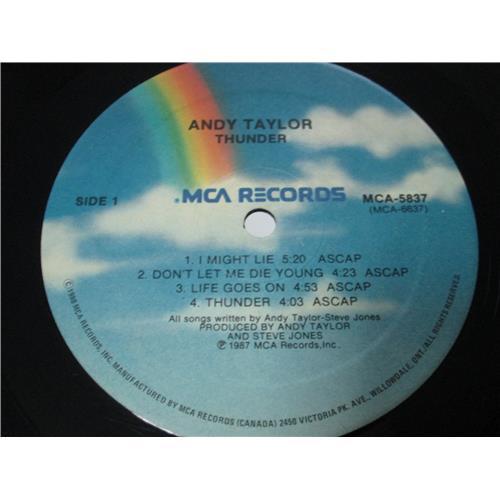 Картинка  Виниловые пластинки  Andy Taylor – Thunder / MCA-5837 в  Vinyl Play магазин LP и CD   01933 4 