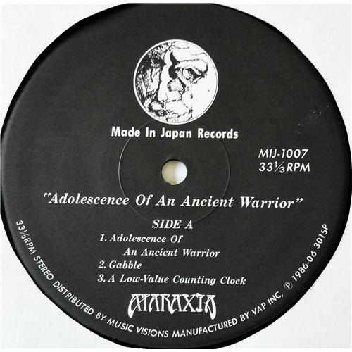 Картинка  Виниловые пластинки  Ataraxia – Adolescence Of An Ancient Warrior / MIJ-1007 в  Vinyl Play магазин LP и CD   09166 3 