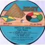 Картинка  Виниловые пластинки  Augie Meyers – Finally In Lights / SNTF 803 в  Vinyl Play магазин LP и CD   06960 4 