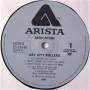 Картинка  Виниловые пластинки  Bay City Rollers – Dedication / IES 80646 в  Vinyl Play магазин LP и CD   04497 5 