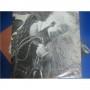  Vinyl records  Billy Idol – Whiplash Smile / CHX 41514 picture in  Vinyl Play магазин LP и CD  03552  2 
