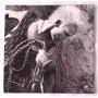 Картинка  Виниловые пластинки  Billy Idol – Whiplash Smile / OV 41514 в  Vinyl Play магазин LP и CD   06191 2 