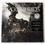  Виниловые пластинки  Black Veil Brides – Black Veil Brides / B0022070-01 / Sealed в Vinyl Play магазин LP и CD  09329 