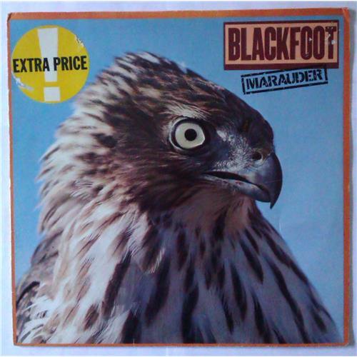  Виниловые пластинки  Blackfoot – Marauder / ATC 50 799 в Vinyl Play магазин LP и CD  04283 