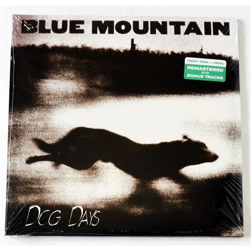  Vinyl records  Blue Mountain – Dog Days / MVD7652LP / Sealed in Vinyl Play магазин LP и CD  09093 