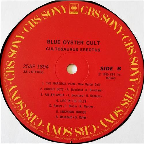 Картинка  Виниловые пластинки  Blue Oyster Cult – Cultosaurus Erectus / 25AP 1894 в  Vinyl Play магазин LP и CD   07047 5 