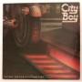  Виниловые пластинки  City Boy – The Day The Earth Caught Fire / SD 19249 в Vinyl Play магазин LP и CD  04774 
