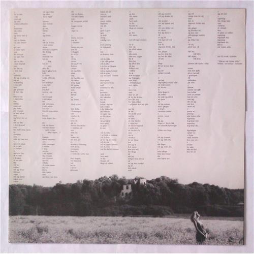 Картинка  Виниловые пластинки  Dan Hylander & Raj Montana Band – ...Om Anglar O Sjakaler / am 45 в  Vinyl Play магазин LP и CD   05901 2 