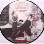 Картинка  Виниловые пластинки  Dan Hylander & Raj Montana Band – ...Om Anglar O Sjakaler / am 45 в  Vinyl Play магазин LP и CD   06434 6 