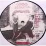 Картинка  Виниловые пластинки  Dan Hylander & Raj Montana Band – ...Om Anglar O Sjakaler / am 45 в  Vinyl Play магазин LP и CD   06434 7 
