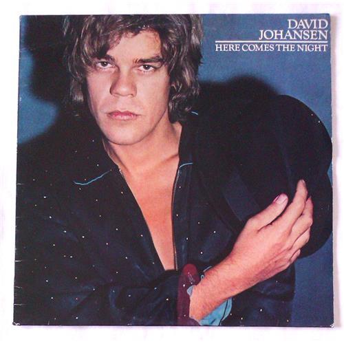  Vinyl records  David Johansen – Here Comes The Night / SKY 84504 in Vinyl Play магазин LP и CD  06404 