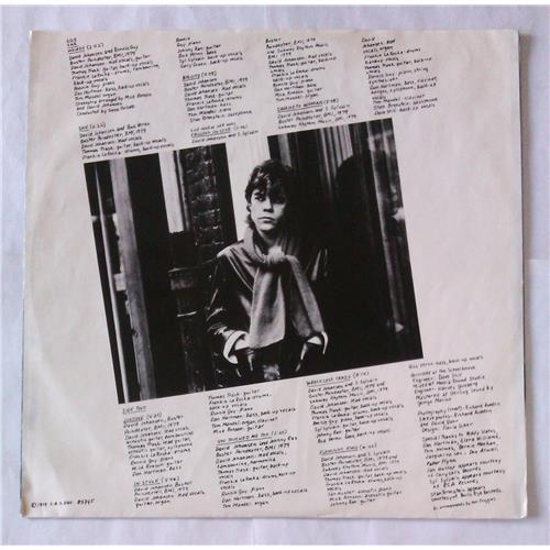  Vinyl records  David Johansen – In Style / SKY 83745 picture in  Vinyl Play магазин LP и CD  06761  3 