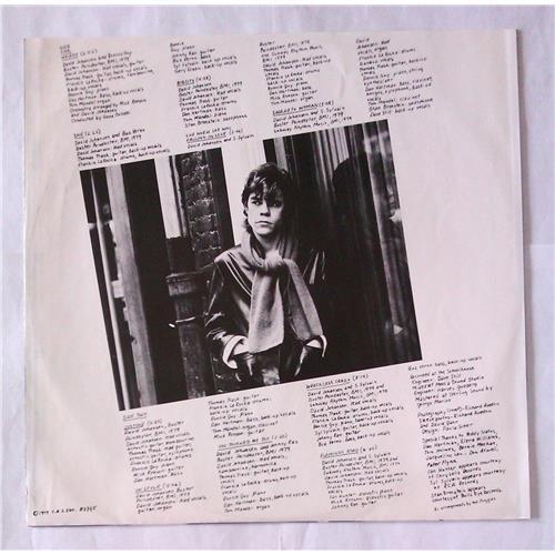 Картинка  Виниловые пластинки  David Johansen – In Style / SKY 83745 в  Vinyl Play магазин LP и CD   06946 3 