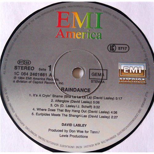 Картинка  Виниловые пластинки  David Lasley – Raindance / 1C 064 2401661 в  Vinyl Play магазин LP и CD   06745 4 