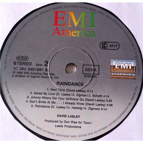 Картинка  Виниловые пластинки  David Lasley – Raindance / 1C 064 2401661 в  Vinyl Play магазин LP и CD   06745 5 