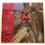  Виниловые пластинки  David Lee Roth – Skyscraper / 925 671-1 в Vinyl Play магазин LP и CD  04835 
