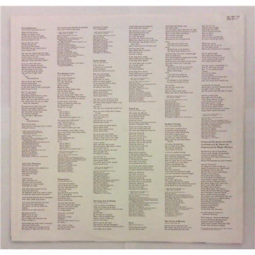 Картинка  Виниловые пластинки  David Lee Roth – Skyscraper / 925 671-1 в  Vinyl Play магазин LP и CD   04835 3 