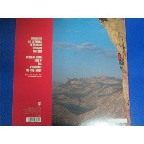 Картинка  Виниловые пластинки  David Lee Roth – Skyscraper / P-13624 в  Vinyl Play магазин LP и CD   03890 1 