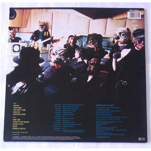  Vinyl records  Dwight Twilley – Wild Dogs / EPC 57072 picture in  Vinyl Play магазин LP и CD  06702  1 