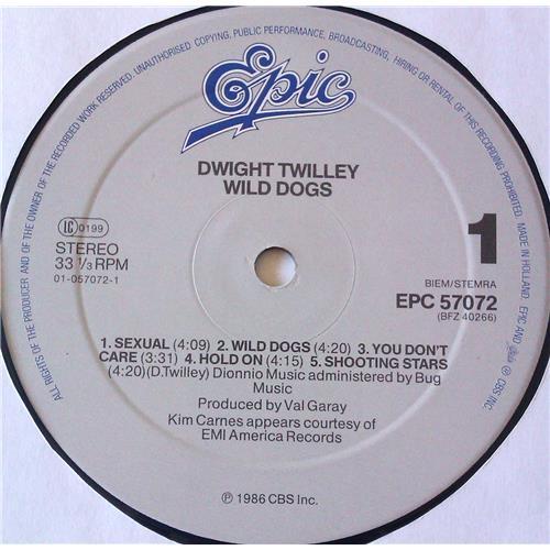  Vinyl records  Dwight Twilley – Wild Dogs / EPC 57072 picture in  Vinyl Play магазин LP и CD  06702  2 