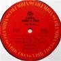 Картинка  Виниловые пластинки  Earth, Wind & Fire – All 'N All / JC 34905 в  Vinyl Play магазин LP и CD   07715 8 