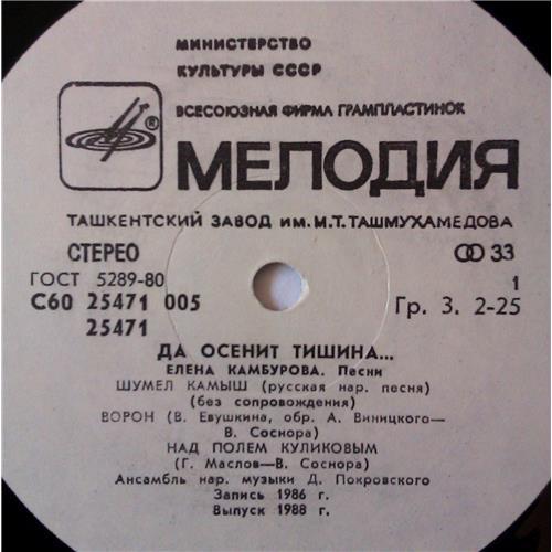  Vinyl records  Елена Камбурова – Да Осенит Тишина... / С60 25471 005 picture in  Vinyl Play магазин LP и CD  03660  2 