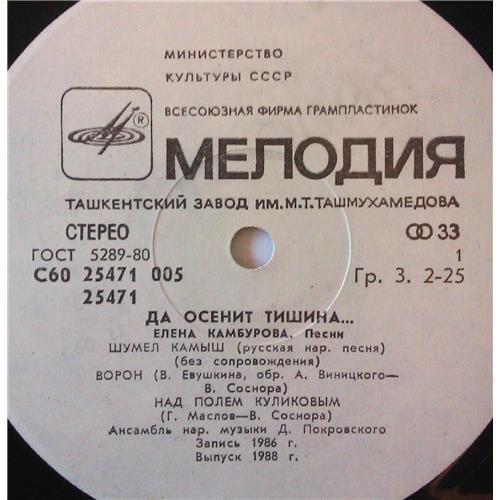  Vinyl records  Елена Камбурова – Да Осенит Тишина... / С60 25471 005 picture in  Vinyl Play магазин LP и CD  03708  2 
