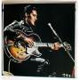 Картинка  Виниловые пластинки  Elvis Presley – On Stage-February, 1970 / SX-58 в  Vinyl Play магазин LP и CD   07506 2 