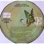Картинка  Виниловые пластинки  Even Stevens – Thorn On The Rose / 7E 1113 в  Vinyl Play магазин LP и CD   06930 4 