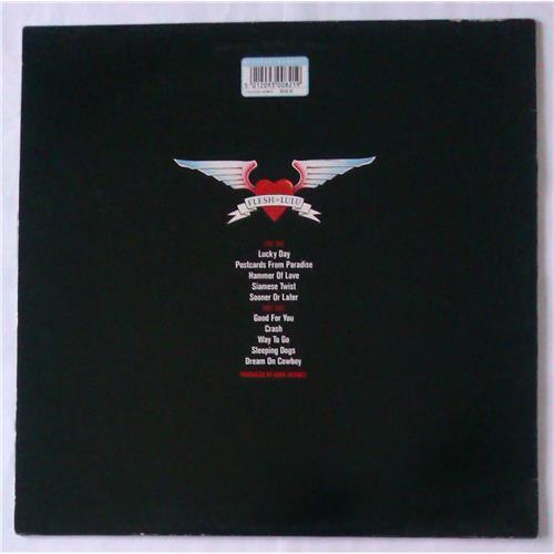 Картинка  Виниловые пластинки  Flesh For Lulu – Long Live The New Flesh / BEGA 82 в  Vinyl Play магазин LP и CD   04735 1 
