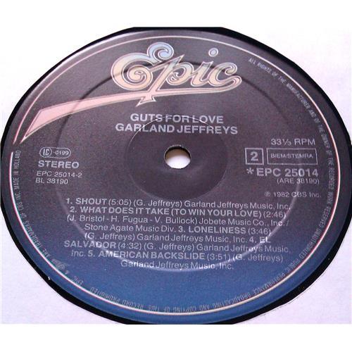 Картинка  Виниловые пластинки  Garland Jeffreys – Guts For Love / 25014 в  Vinyl Play магазин LP и CD   05837 5 