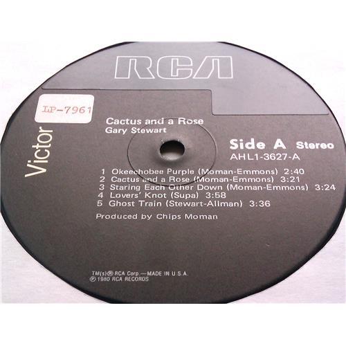 Картинка  Виниловые пластинки  Gary Stewart – Cactus And A Rose / AHL1-3627 в  Vinyl Play магазин LP и CD   06705 2 