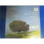 Картинка  Виниловые пластинки  George Winston – Winter Into Spring / WH-1019 в  Vinyl Play магазин LP и CD   00163 1 