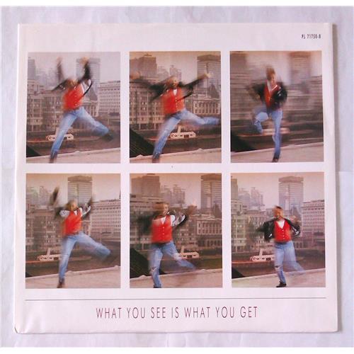 Картинка  Виниловые пластинки  Glen Goldsmith – What You See Is What You Get / PL 71750 в  Vinyl Play магазин LP и CD   06941 2 