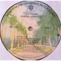 Картинка  Виниловые пластинки  Gordon Lightfoot – Endless Wire / BSK 3149 в  Vinyl Play магазин LP и CD   06715 5 