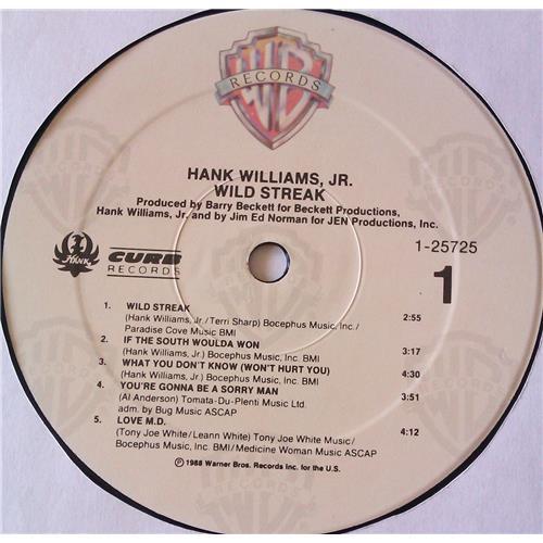 Картинка  Виниловые пластинки  Hank Williams Jr. – Wild Streak / 1-25725 в  Vinyl Play магазин LP и CD   06770 4 