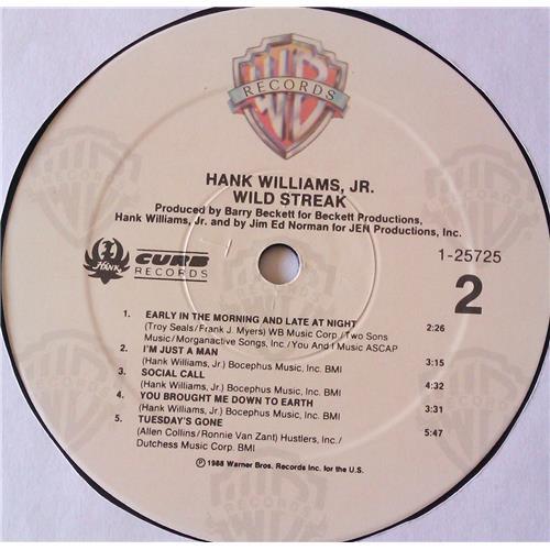 Картинка  Виниловые пластинки  Hank Williams Jr. – Wild Streak / 1-25725 в  Vinyl Play магазин LP и CD   06770 5 