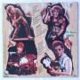 Картинка  Виниловые пластинки  HSAS – Through The Fire / GEF 25893 в  Vinyl Play магазин LP и CD   04862 1 