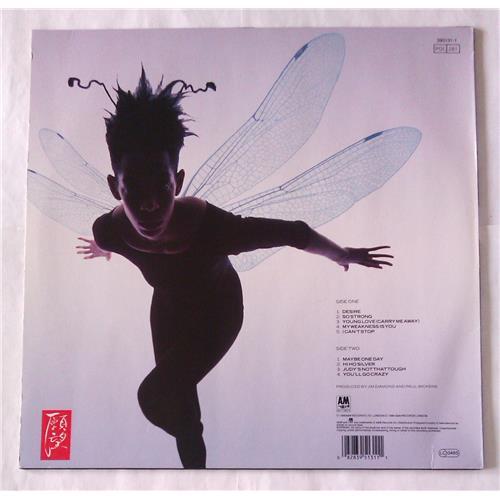 Картинка  Виниловые пластинки  Jim Diamond – Desire For Freedom / 395131-1 в  Vinyl Play магазин LP и CD   06739 1 