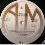Картинка  Виниловые пластинки  Joe Jackson – I'm The Man / AMLH 64794 в  Vinyl Play магазин LP и CD   04345 5 
