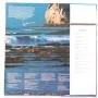 Картинка  Виниловые пластинки  John Denver – Windsong / RVP-6001 в  Vinyl Play магазин LP и CD   05730 1 