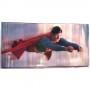 Картинка  Виниловые пластинки  John Williams – Superman The Movie (Original Sound Track) / P-5557~8W в  Vinyl Play магазин LP и CD   05787 1 