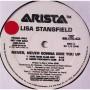 Картинка  Виниловые пластинки  Lisa Stansfield – Never, Never Gonna Give You Up / ADP-3410 в  Vinyl Play магазин LP и CD   05699 1 