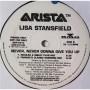 Картинка  Виниловые пластинки  Lisa Stansfield – Never, Never Gonna Give You Up / ADP-3410 в  Vinyl Play магазин LP и CD   05699 2 