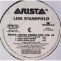  Vinyl records  Lisa Stansfield – Never, Never Gonna Give You Up / ADP-3410 picture in  Vinyl Play магазин LP и CD  05699  3 