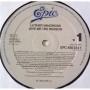 Картинка  Виниловые пластинки  Luther Vandross – Give Me The Reason / EPC 450134 1 в  Vinyl Play магазин LP и CD   06718 6 